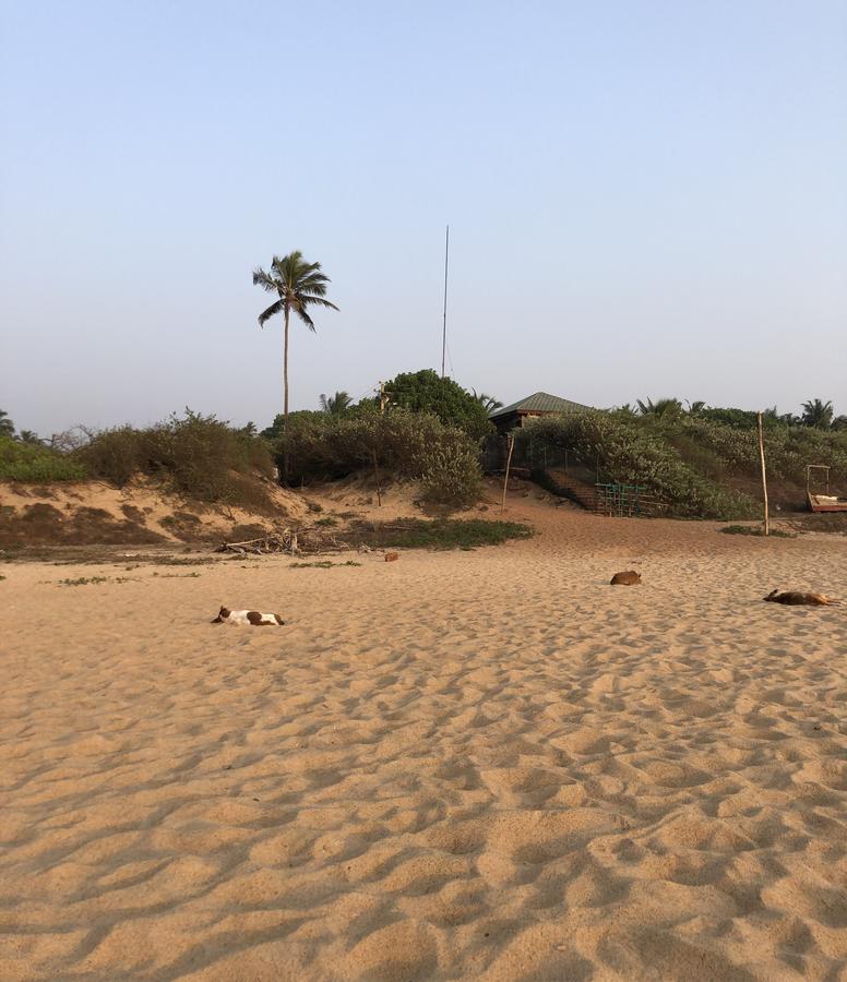 Peravel Beach Holiday Home Candolim Buitenkant foto